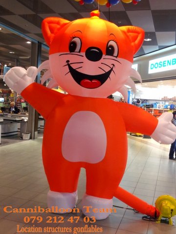 Mascotte Gros Minou